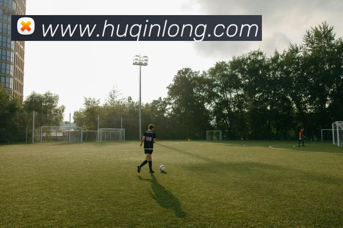 App Interface Preview